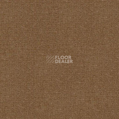 Ковролин Radici Abetone Beige 4796 фото 1 | FLOORDEALER